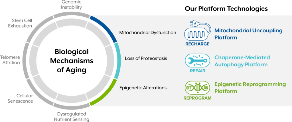 Targeting The Biology Of Aging – Life Biosciences, Inc.